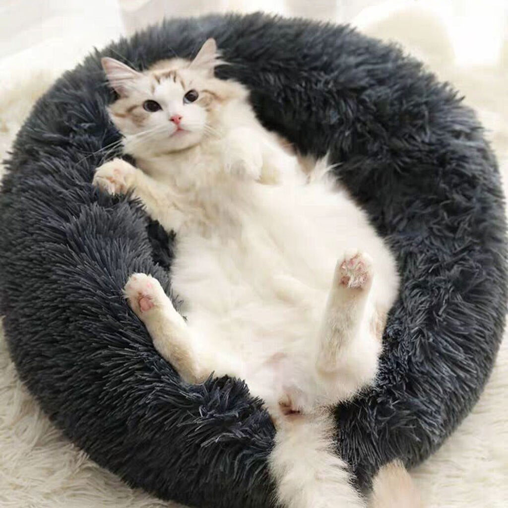 Calming Cat Bed