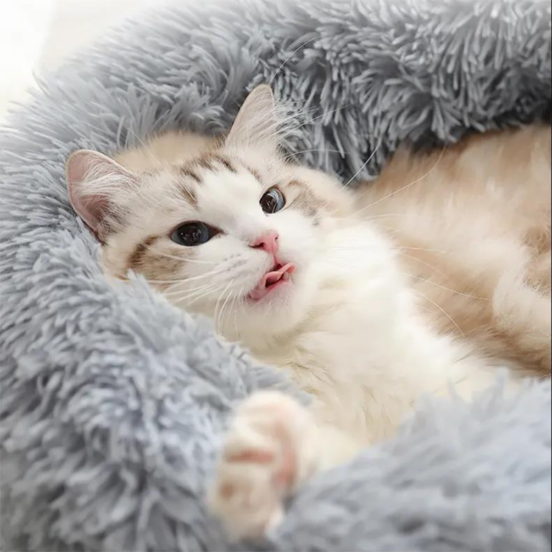 Calming Cat Bed