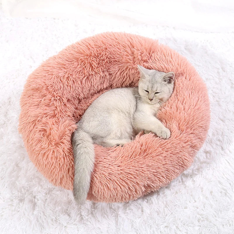 Calming Cat Bed