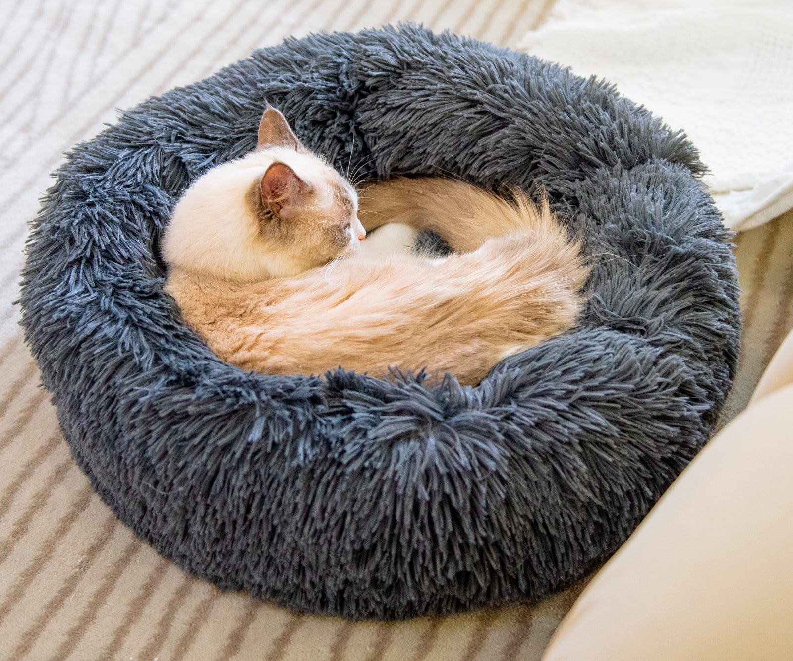 Calming Cat Bed