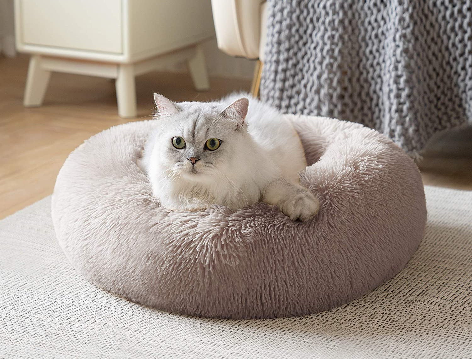 Calming Cat Bed