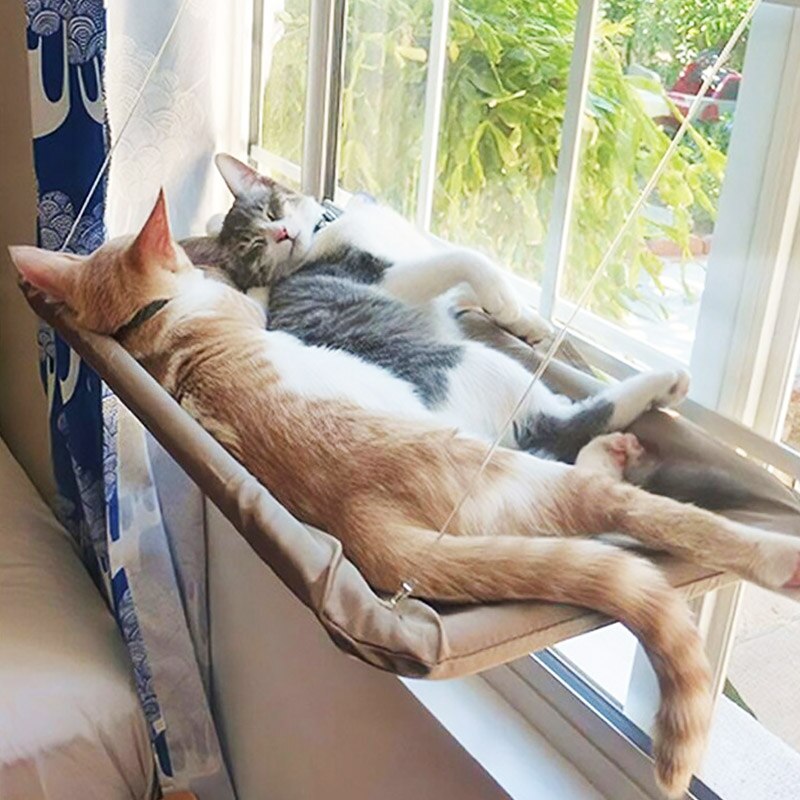 Cat Relaxing Hammock