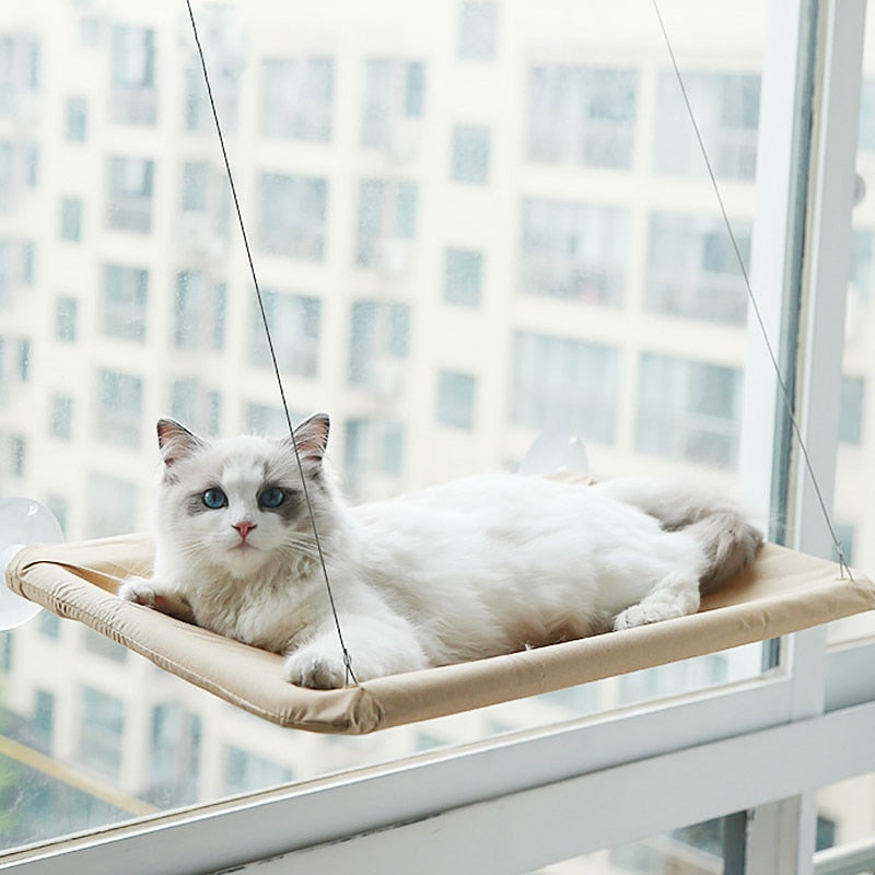 Cat Relaxing Hammock