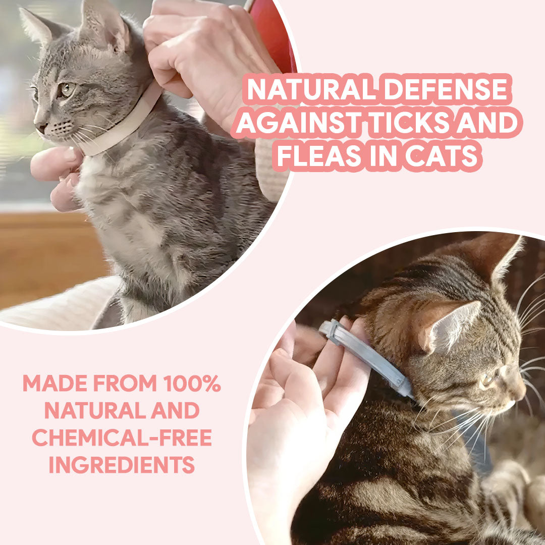 AntiTickBand® Flea and tick repellent for up to 8 months!