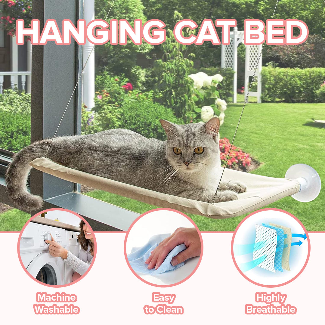 Cat Relaxing Hammock